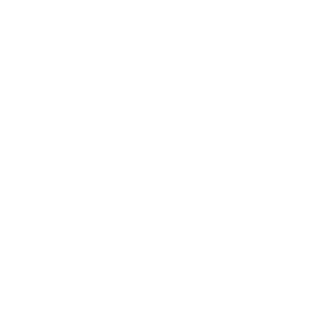 Sensory Voyage Logo